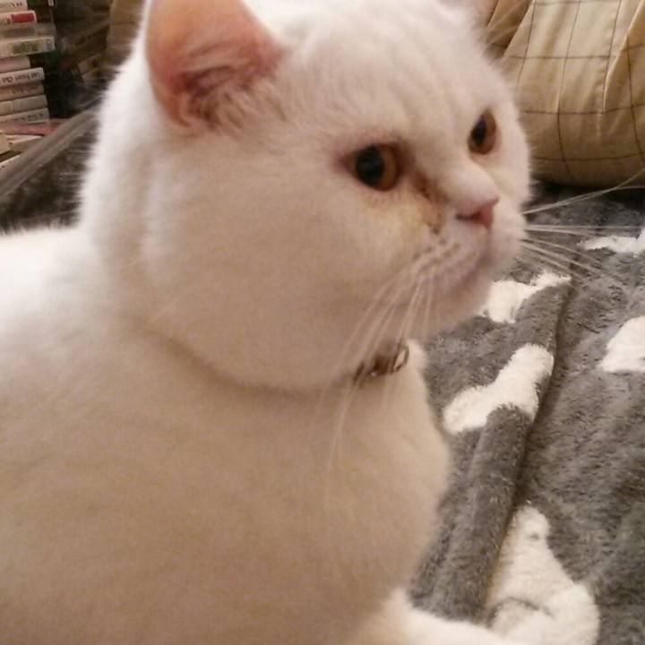 E8b648d4 76a0 48e5 83cc 9181f25ab905 1517353901648