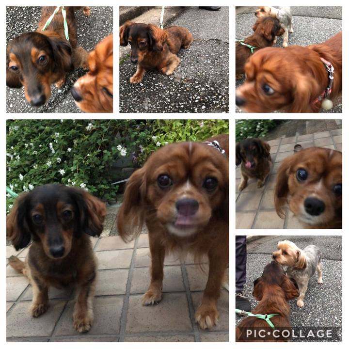 E8b64baa 8251 4398 83f9 b6590250d865 1571056761010