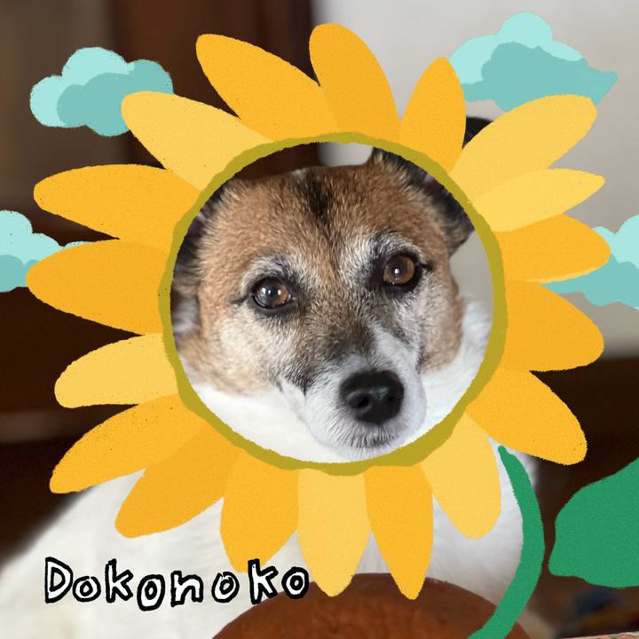 E8b68ece 853d 4944 9891 22b9911bdc76 1723251659107