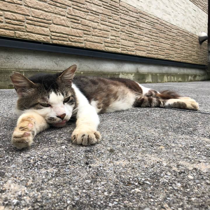 E8b6c966 8c8e 4a99 a158 cb0b15d85436 1599967441693