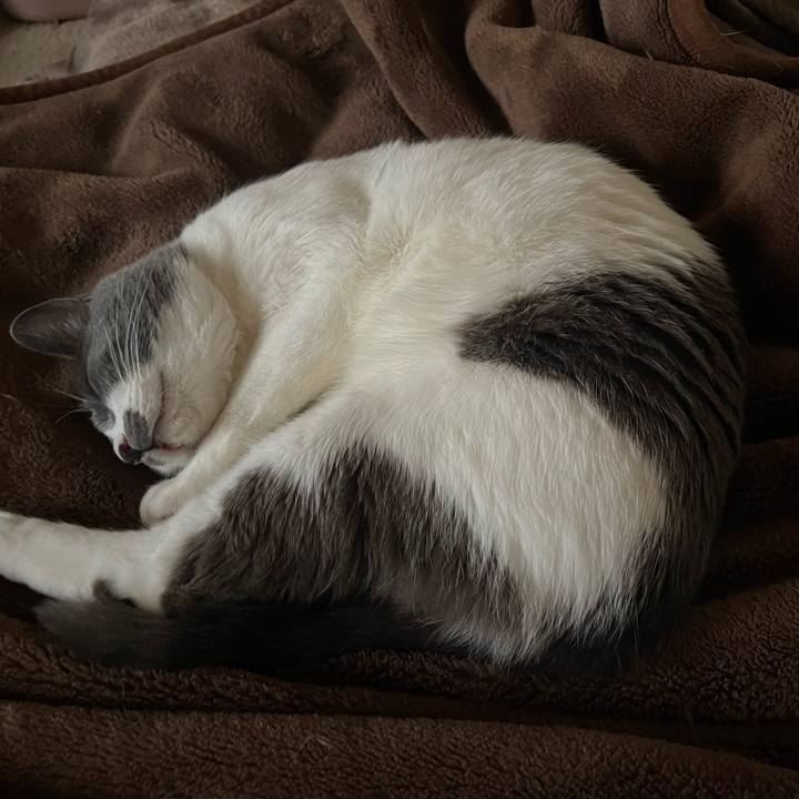 E8b6e92c 9647 4693 ac1c 0b99a8ba2ed9 1649148292642