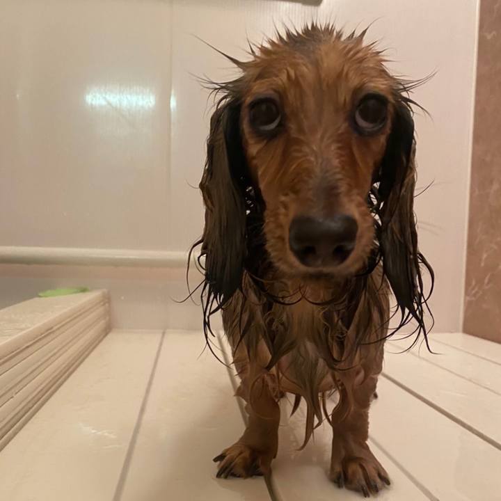 E8b717fb f2c2 4800 992f dc7ba57b1b32 1639127998885