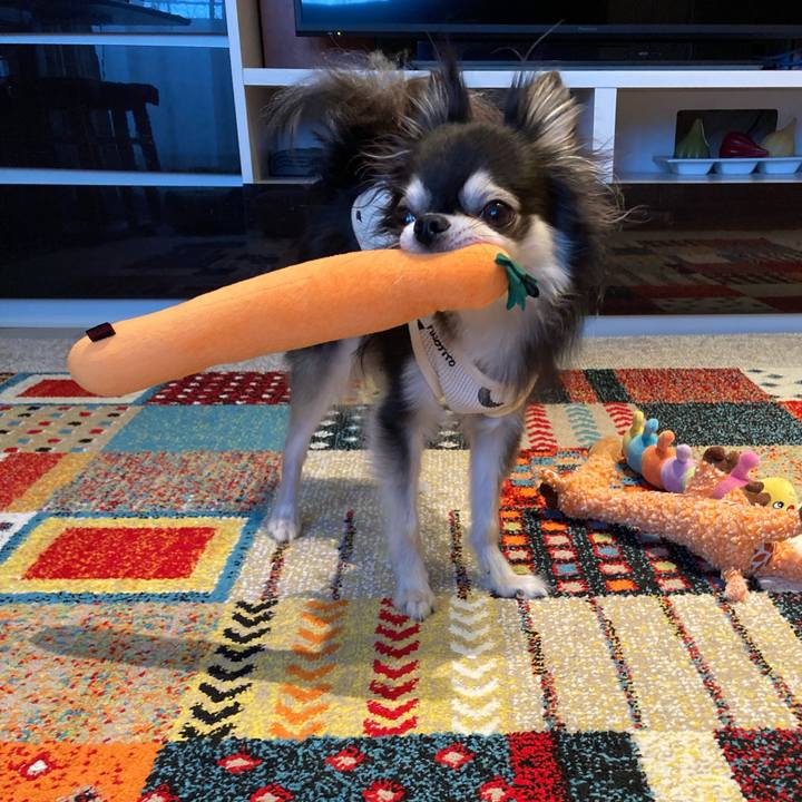 E8b75388 9dfd 4bc3 8455 a299b1b6a5db 1714396502360