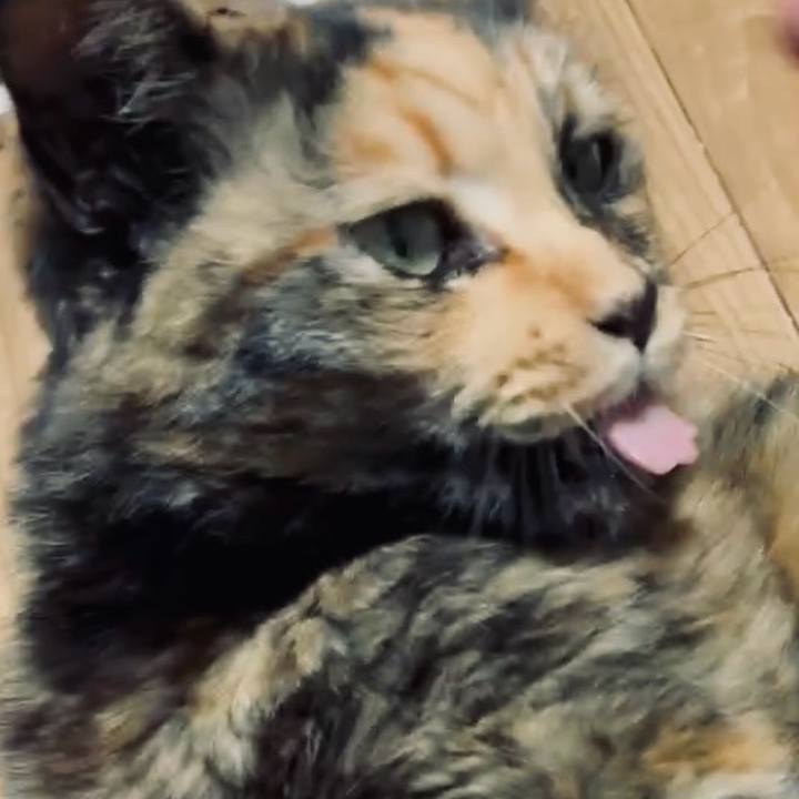 E8b79aa9 82df 4927 b3b2 5c76cbc7c6c9 1746734522202