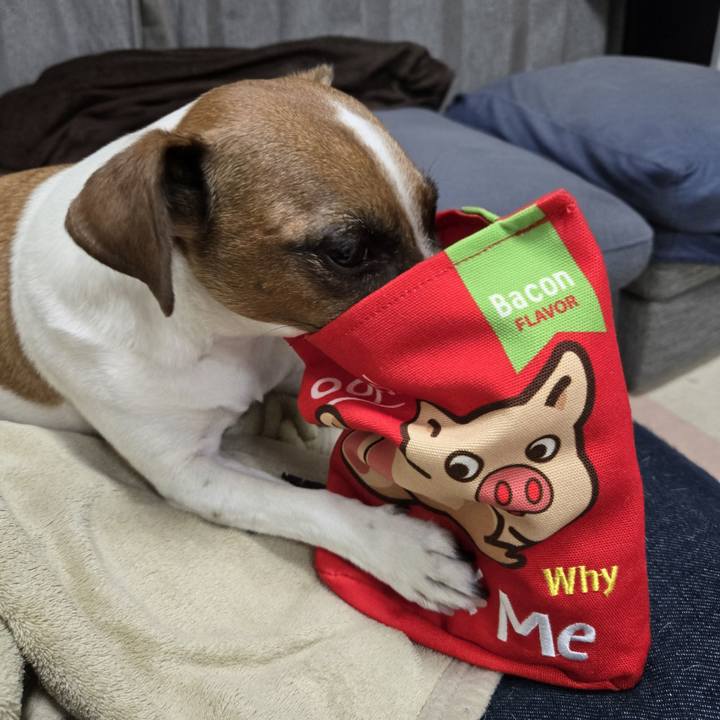 E8b7a4f3 bade 46c9 8440 3b5e33d8222f 1763217113265