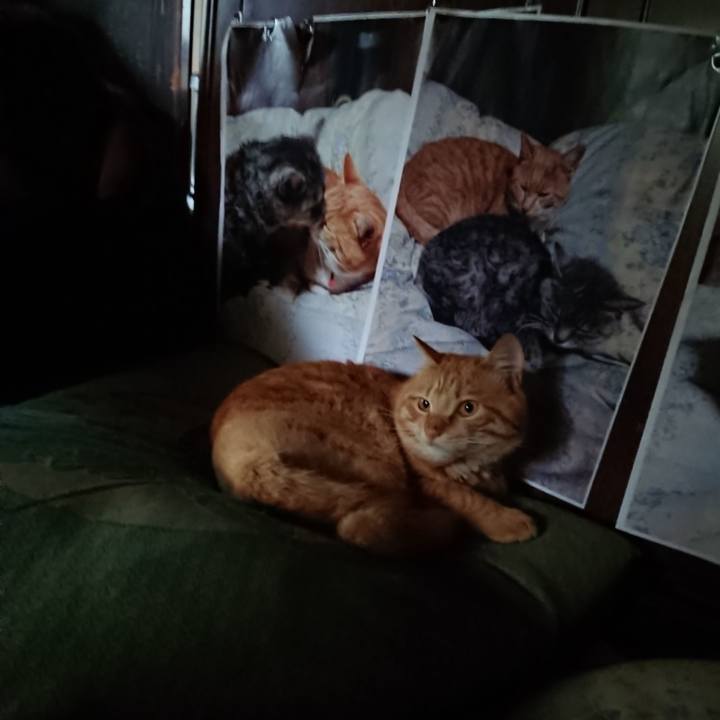 E8b7d779 4c0d 400a b34d 2070672c75ea 1657659131040