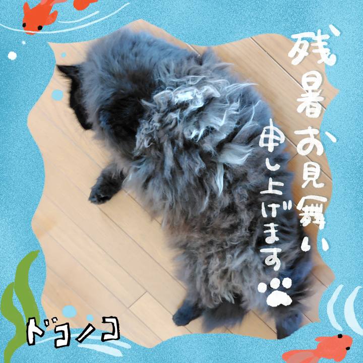 E8b8466a 4e6a 4937 ab85 434ef3726da5 1723674077987