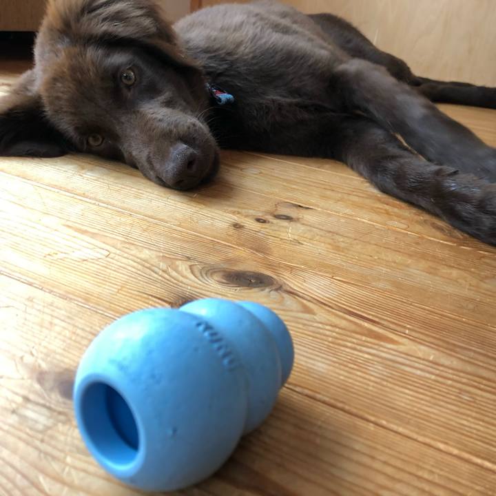 E8b84e3f 00a1 4f70 ad1e 2157f45bef98 1557871381861