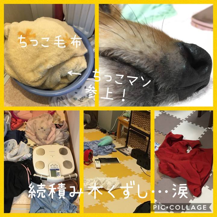 E8b84fca eb80 4914 a626 12aaa26723ed 1571409460493