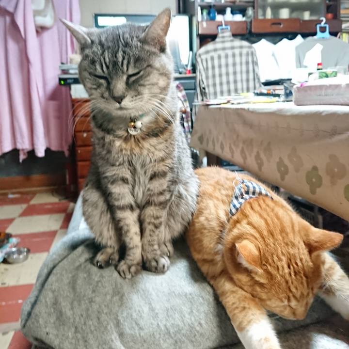 E8b89d70 bf31 4ce4 a397 cd53c806b8b9 1575709398468