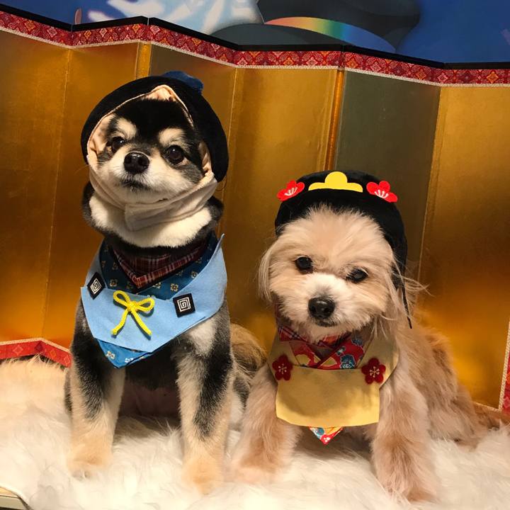 E8b8cbb6 acd0 4ab8 ab15 7a96a72555b3 1520046402649