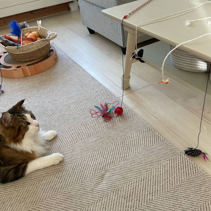 E8b9104a 7672 4ae2 9d4e 4dc677cba588 1661378610914