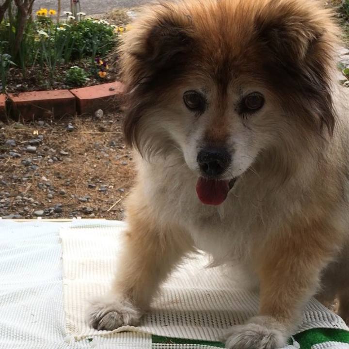 E8b97dee a57c 44fb 96d7 641a12d0932c 1579583343221