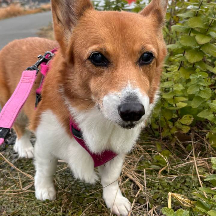 E8b98913 96f3 4a20 90ea 537659b77e36 1734057390744