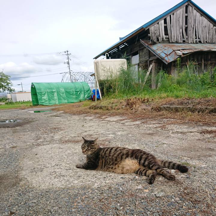 E8b996ae 510a 4d61 acc6 fbf89ba93a4c 1657956606120