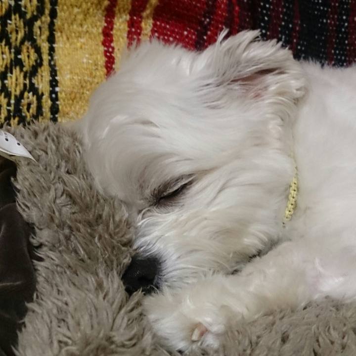 E8b9f758 b79a 4750 9af8 a74340a8d050 1523444591566