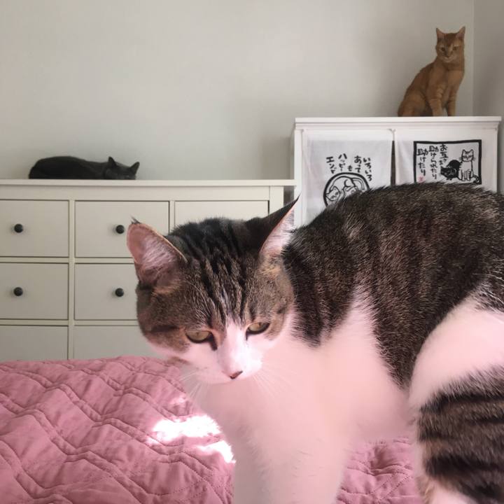 E8ba2e57 d006 44f9 87cc d6962a160276 1664583079987