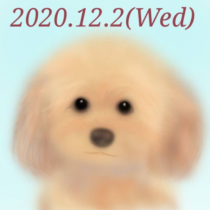 E8ba6a9a 86cc 4a70 be8c 31bc972d6f3a 1606911141143
