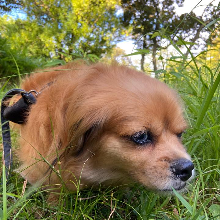 E8ba8893 deb5 4e72 9ce8 6f9e905465c4 1628290044030