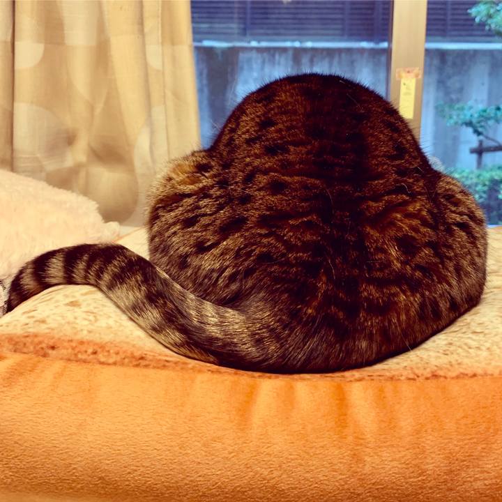 E8baa312 4193 48eb b211 e6eb9a7f9e0b 1552955114667