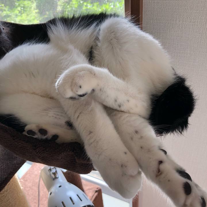 E8bac0e8 4bf3 44b2 9c25 af0fa5e85408 1558248271982