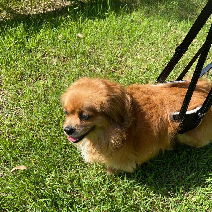 E8bae6f9 4f44 4da6 9b49 0aa84f10eefa 1626479483447