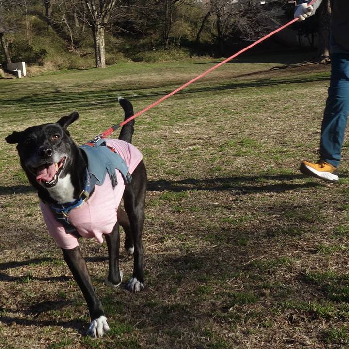 E8baf013 641e 45e8 a01e 09d216f6fe92 1709342362280