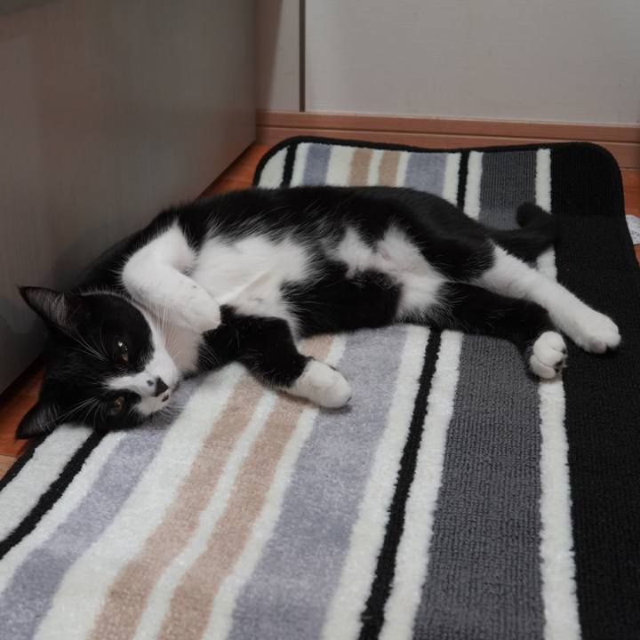 E8bb2156 670a 41a0 bdb7 7a5289b4a6c4 1593439560528