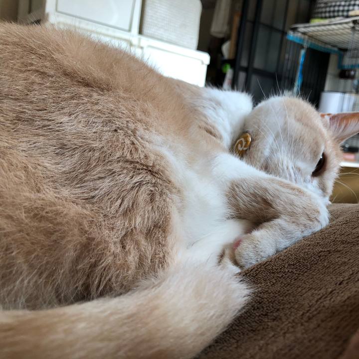 E8bb28d2 2221 4c57 8b66 4fdf97aa155f 1596844783283