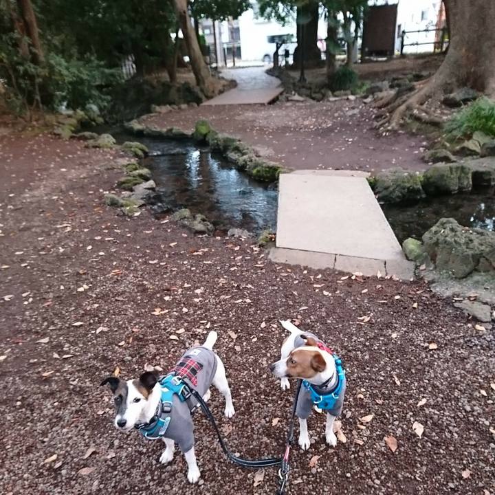 E8bb5bc5 1522 4771 8353 36fd437b67ff 1543702273891