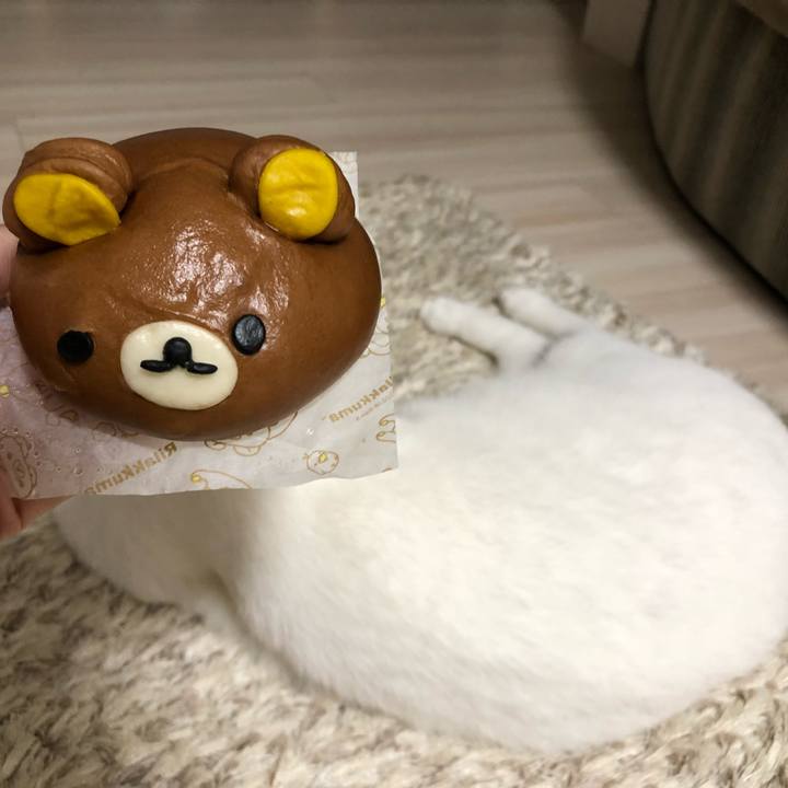 E8bb66d9 e480 4ea8 9b5a f5f15d0ff77e 1538647934240