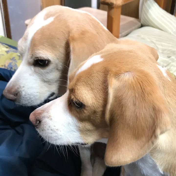 E8bbda87 5153 4158 82c1 a2665cea4dfa 1510898485446