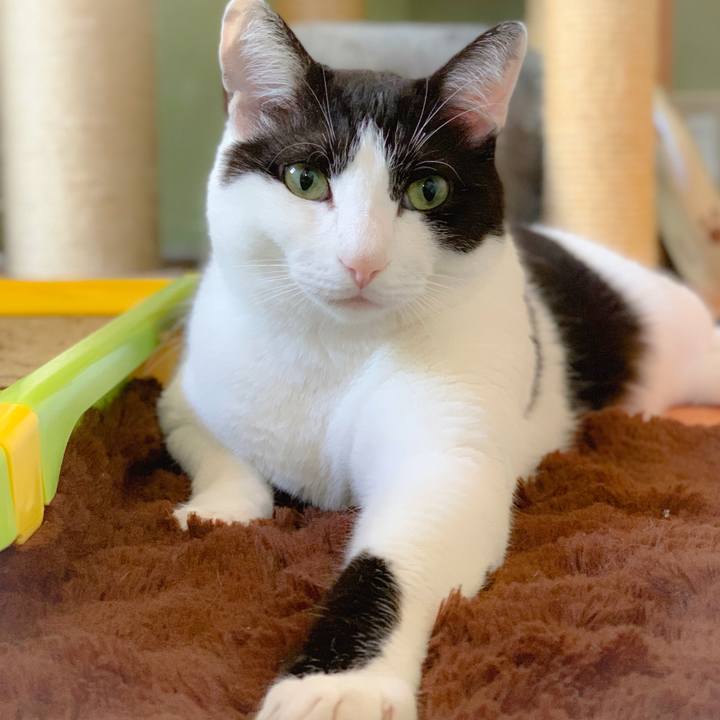 E8bbe2ae caf5 4df4 88f8 90be8f53aea4 1559612636947