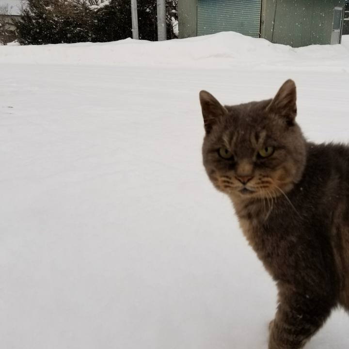 E8bc0aaa 9fcd 45c0 b1c4 54b1675dc817 1517036839030