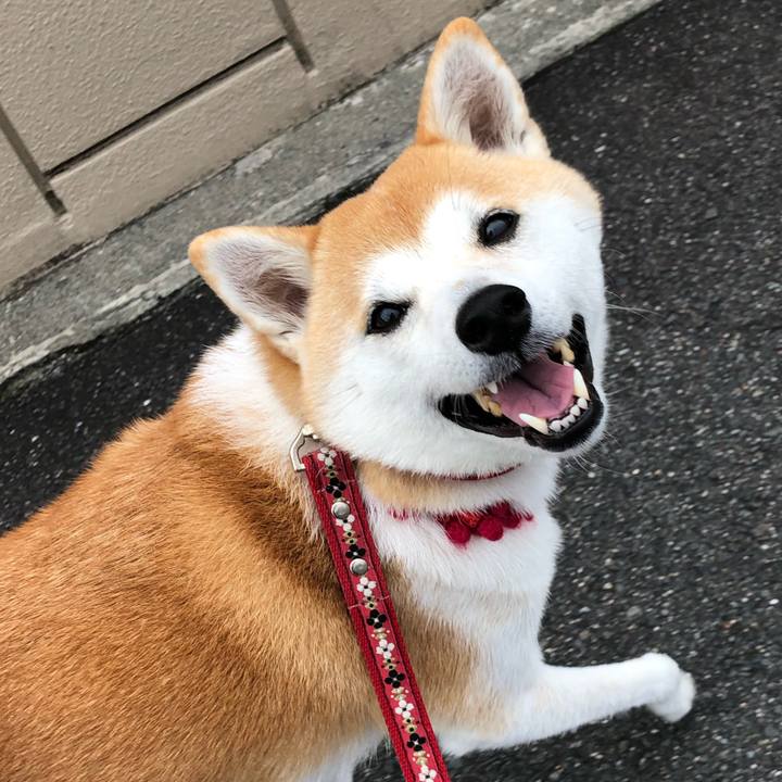 E8bc3f39 7112 4154 bf8f aa85c8420f7a 1603426046196