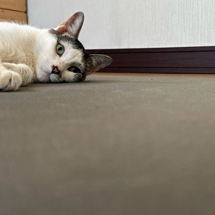 E8bc591e 30e0 4d15 9557 ba8d9c2e188c 1722389340858