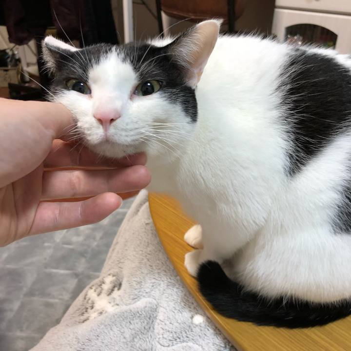 E8bc731a 0c01 42f1 beae 0f579c7c8ad3 1516699668247