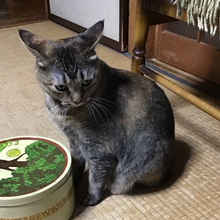 E8bc767b 14de 430c 9d5c 866d99837621 1758279212691