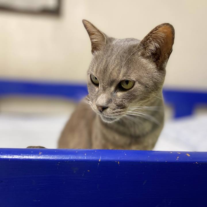 E8bc7791 1cc8 480f ad88 04f73bf00e20 1624234773725