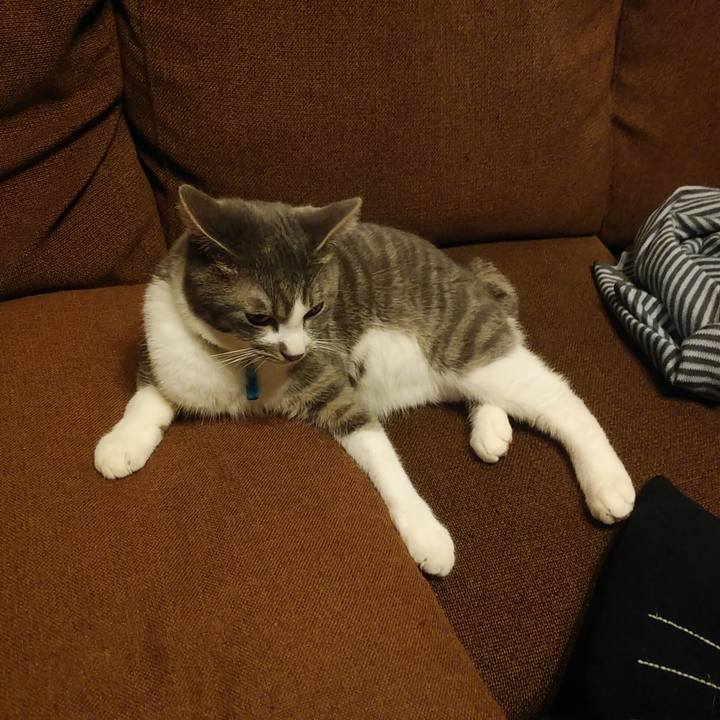 E8bc9853 2ff0 4f50 a485 e57fe415f99f 1582548266911