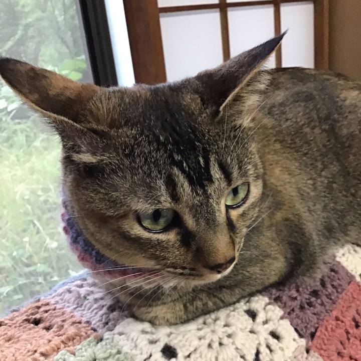 E8bca798 69c5 4b1b a916 16ba653675df 1621589600735