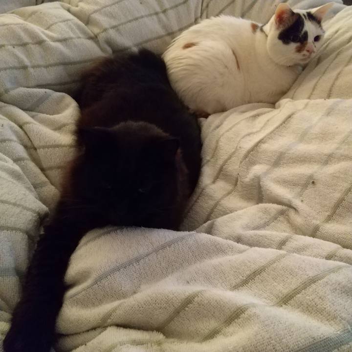 E8bcc2f4 849e 4c11 9b6b d1f1ee325bdf 1649456879404