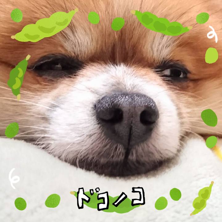 E8bcd494 e554 47c6 9c45 2fd8030426f7 1720801083461