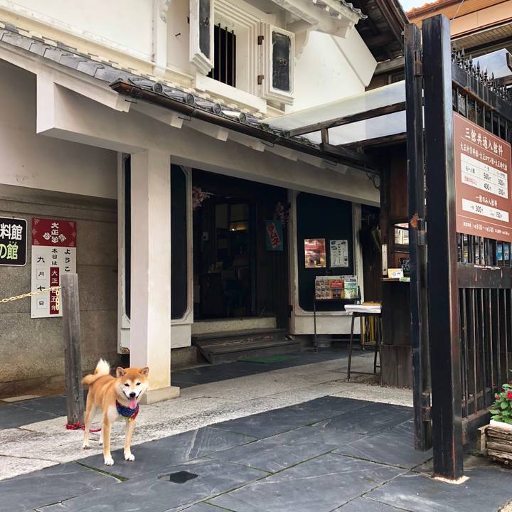 E8bcdf7a e6ef 4338 bfe2 60672e8b6302 1536311375038