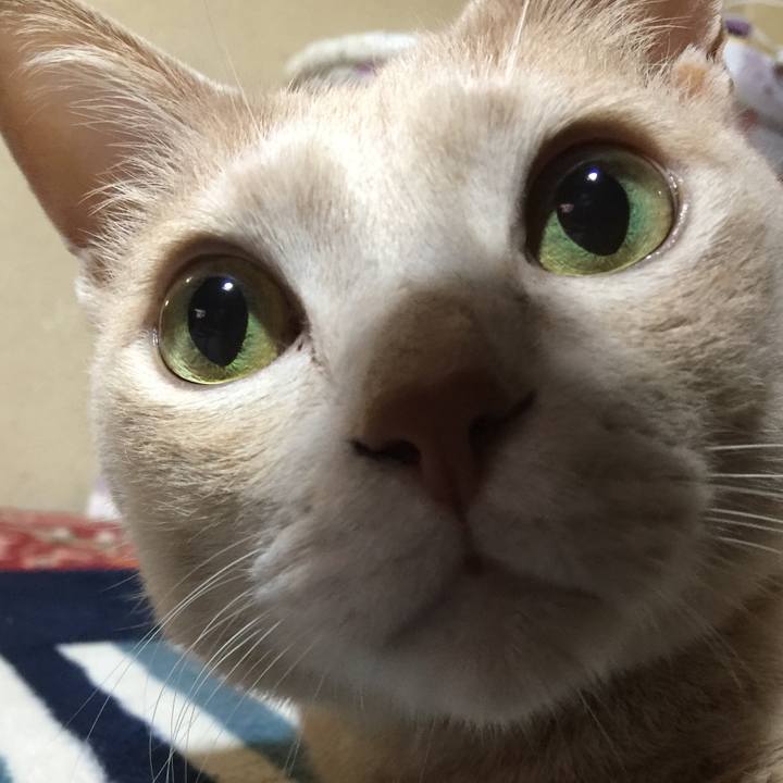 E8bceb8a 6680 4dab 9f28 a04654bf6e03 1542113592053