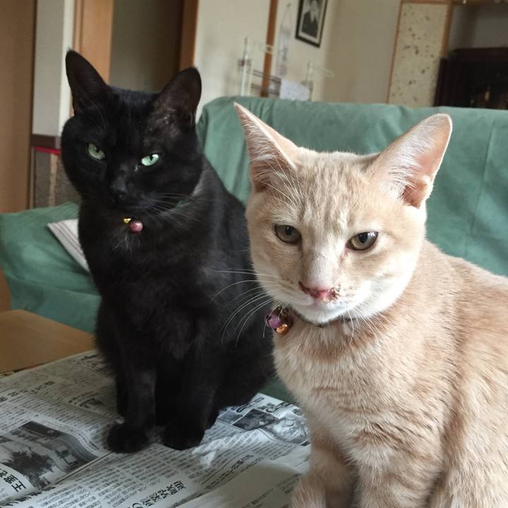 E8bcfc47 9b7a 4dc9 b65b df5be0990a13 1539428402474