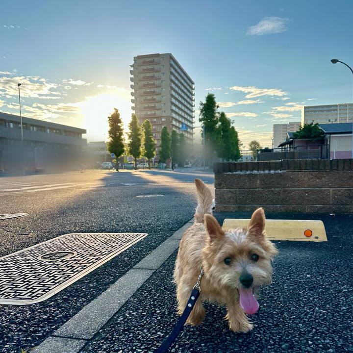 E8bcfd11 1a93 4164 86f0 7f8406785e9e 1722307887935