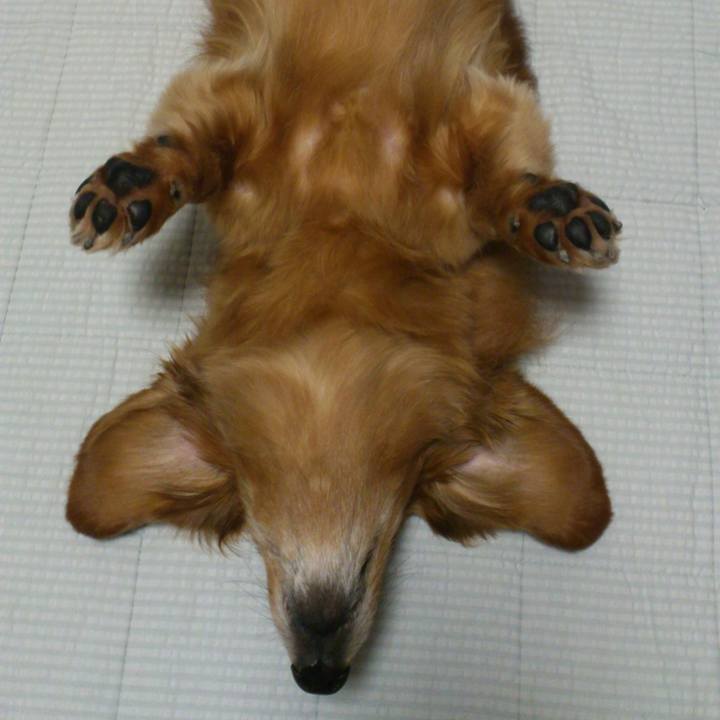 E8bd18da e632 4987 9a53 58ece8e49d98 1618932868402