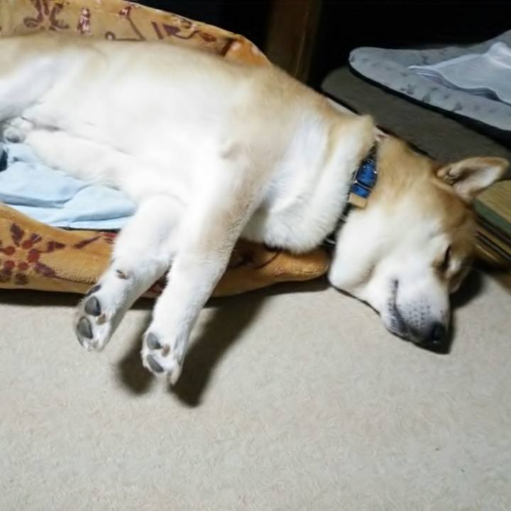 E8bd5e0d c614 448c ad71 88d86f5d62de 1569935718381