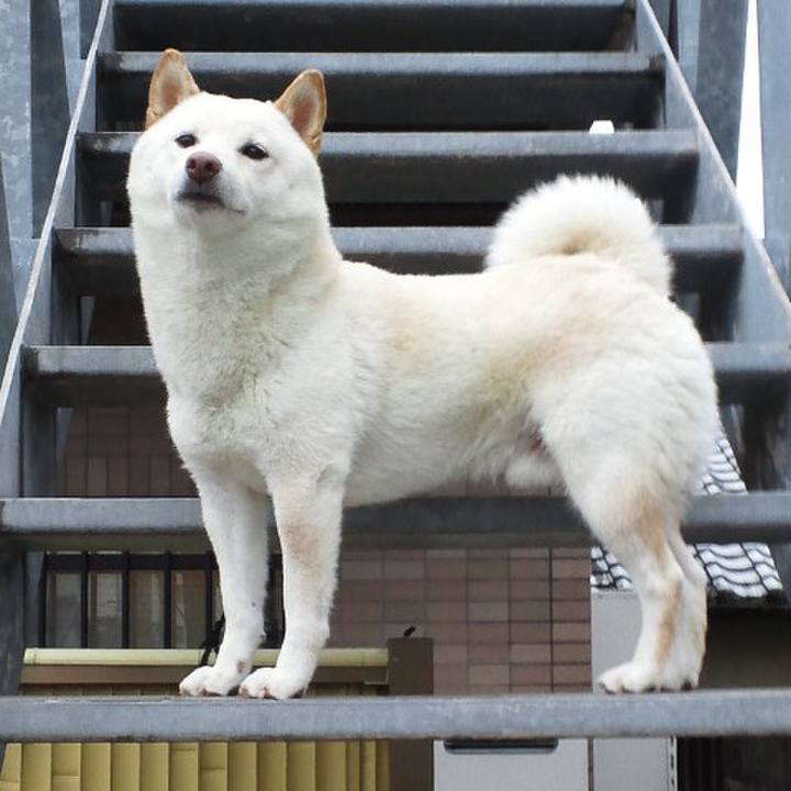 E8bd70b1 2647 411c b379 fac49e0055d0 1677954517727